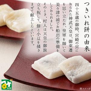 宮崎銘菓 つきいれ餅 24個入 金城堂本店 4544608000056