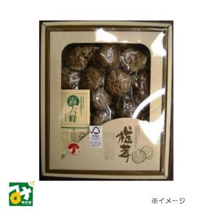 椎茸 干し椎茸 どんこ 諸塚村産 乾しいたけ どんこ もろっこはうす 4519079000607