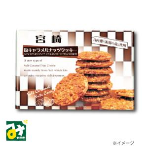宮崎塩キャラメルナッツクッキー 24枚入 満潮の塩 九州産商