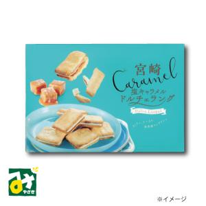 ラングドシャ 宮崎塩キャラメルドルチェラング 8枚入 日向ほがや