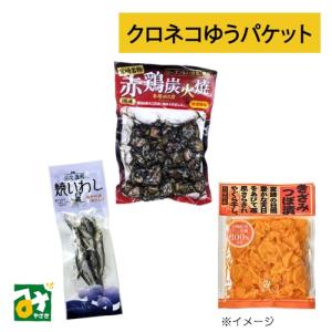 クロネコゆうパケット おつまみセット 宮崎県産品 送料込｜miyazakikonne