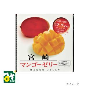 宮崎マンゴーゼリー 9個入 南寿製菓の商品画像