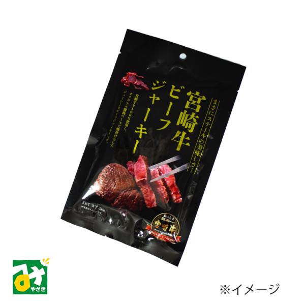 ジャーキー 宮崎牛ビーフジャーキー G.N.O