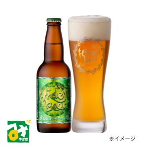 ビール 太陽のラガー 冷蔵品 宮崎ひでじビール 4533102001102