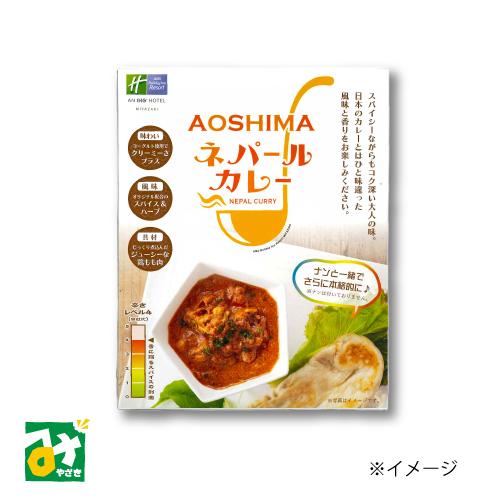 カレー AOSHIMA ネパールカレー ANAホリデイ・インリゾート宮崎 青島