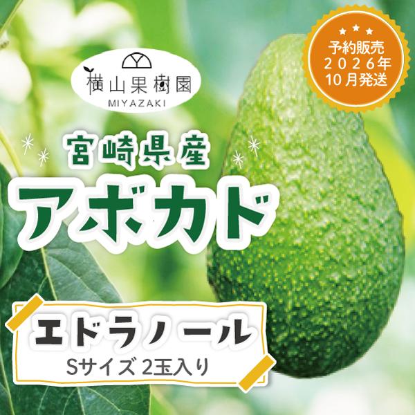 満天☆青空レストラン放送【予約販売 2026年10月発送】宮崎産アボカド「エドラノール」Sサイズ(2...