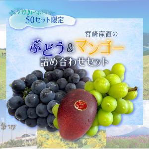 宮崎県産ぶどう梨セット×5箱 | www.jerusalemoliveoil.com