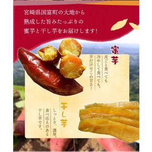 原農園 【国富金時の干し芋】150g×3袋セッ...の詳細画像2