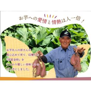 原農園 【国富金時の干し芋】150g×3袋セッ...の詳細画像3
