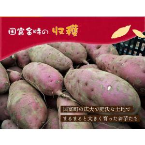 原農園 【国富金時の干し芋】150g×3袋セッ...の詳細画像4