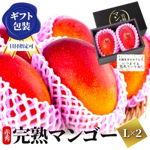 お中元 マンゴー 宮崎産 完熟 極上 朝採れ 送料無料 贈答...