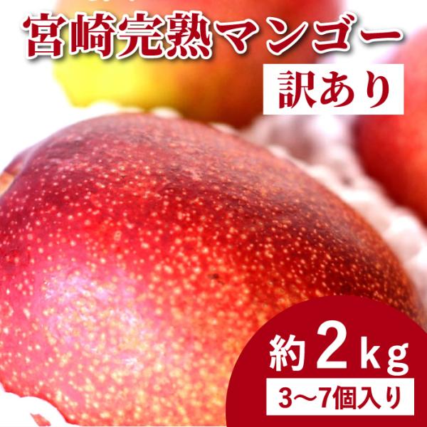 【8月下旬頃より順次発送】2026 送料無料 宮崎完熟マンゴー 訳あり お買い得な 約2kg 3〜7...