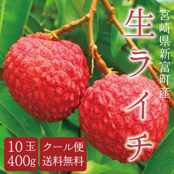 【限定販売】宮崎県産 生ライチ〈もりのライチ 10玉400g入り〉芳醇な香りとジューシーな味わいの国...