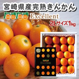 宮崎県から産地直送 JAみやざき宮崎中央地区本部 たまたま