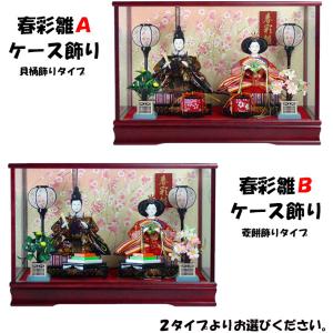 雛人形 ひな人形 親王 ケース 飾り 節句 人形 人気 　Aタイプは完売しました｜miyazakiuchiyamakagu