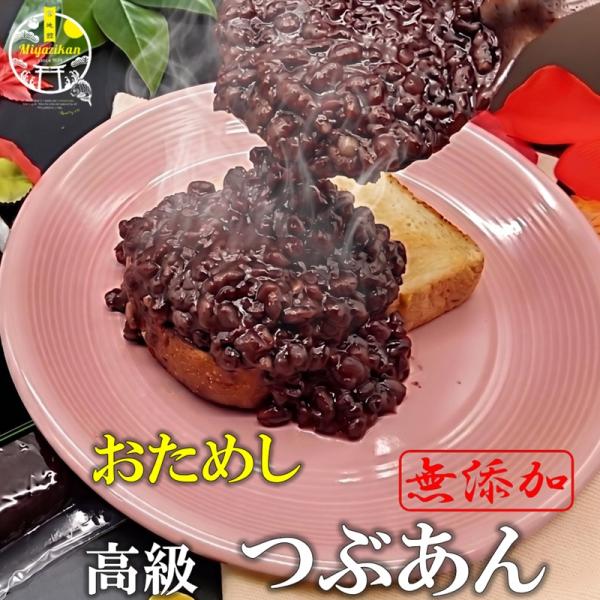 1000円ポッキリ！ おためし 高級 つぶあん 500ｇ 無添加  銅釜直火炊き 手造り 北海道十勝...