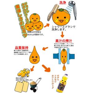 【クーポン有】 JOIN ジュース うめ&りん...の詳細画像2