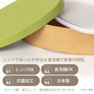 10%OFF 弁当箱 お弁当箱 1段 475m...の詳細画像3