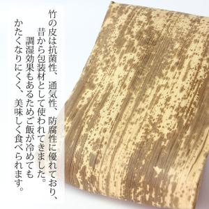 竹皮 10枚入り 天然素材 おしゃれ 紐付き ...の詳細画像1