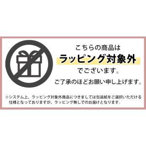 紀州塗り 皿立 黒 10寸 和風 和室 おしゃ...の詳細画像4