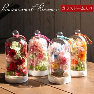 プリザーブドフラワー ガラスドーム ガラスケース...の商品画像