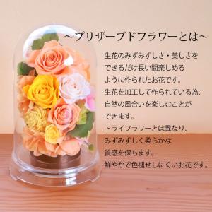 プリザーブドフラワー ドーム型 グランドーム ...の詳細画像1