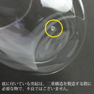 【2点5%OFFクーポン有】 耐熱 ガラス ダ...の詳細画像5