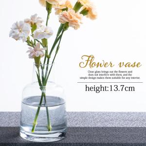 フラワーベース 花瓶 おしゃれ ガラス 一輪挿し 13.7cm