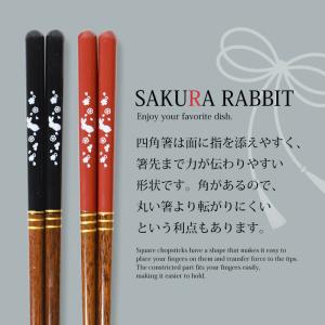 50%OFF 夫婦箸 食洗機対応 お箸 ペア ...の詳細画像4
