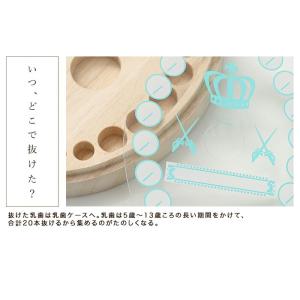 【クーポン有】 彫刻 乳歯ケース 楕円形 プレ...の詳細画像3