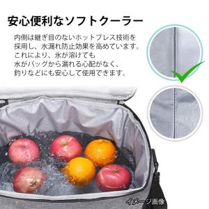 10%OFF クーラーボックス 15L 保冷 ...の詳細画像5