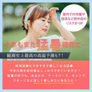 ピーコック 氷のう ミニアイスパック ポケット...の詳細画像2