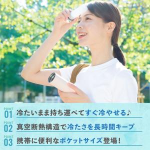ピーコック 氷のう ミニアイスパック ポケット...の詳細画像3
