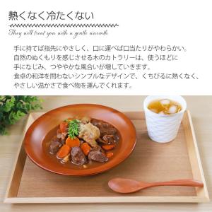 マルチスプーン 食洗機対応 17cm 5本セッ...の詳細画像5