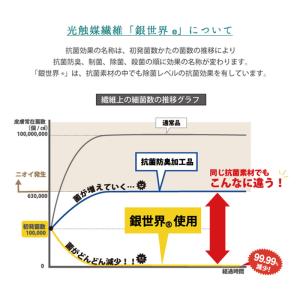 【5%OFF】 バスマット 乾度良好Ag+ ク...の詳細画像3