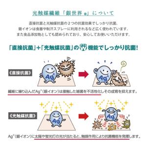 【5%OFF】 バスマット 乾度良好Ag+ ク...の詳細画像5