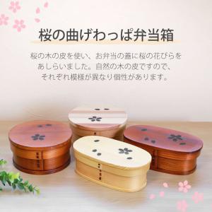 お弁当箱 アウトレット 選べる桜の曲げわっぱ ...の詳細画像1