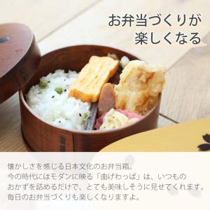 お弁当箱 アウトレット 選べる桜の曲げわっぱ ...の詳細画像3