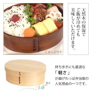 【10%OFF】 曲げわっぱ 弁当箱 高背小判...の詳細画像4
