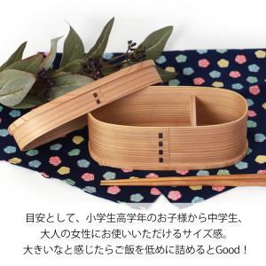 曲げわっぱ お弁当箱 500ml 赤身 スリム...の詳細画像3
