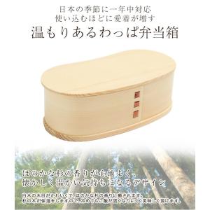 【50%OFF】 お弁当箱 曲げわっぱ そら豆...の詳細画像2