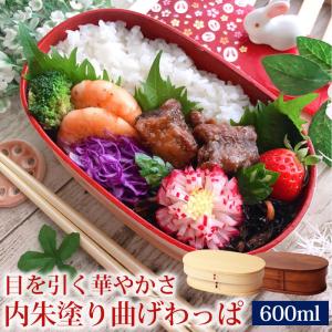 木製 お弁当箱 子供 480ml 2段 送料無料 天然木製 ひょうたん型