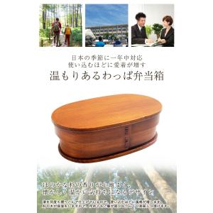 【クーポン有】 お弁当箱 曲げわっぱ 小判 弁...の詳細画像1