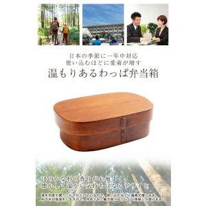 お弁当箱 曲げわっぱ 小判 弁当箱 700ml...の詳細画像2