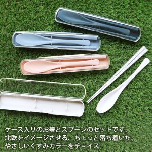 10%OFF お箸 21cm スプーン 19c...の詳細画像2