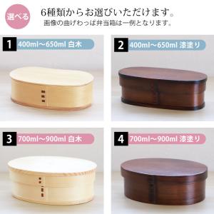 曲げわっぱ お弁当箱 色が選べる お試し デビ...の詳細画像5