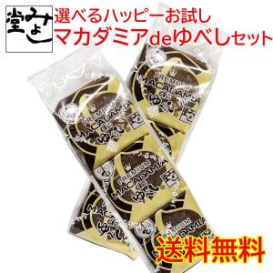 ゆべし 柚餅子 和菓子 マカダミア スイーツ みよし堂  選べるハッピーお試しマカダミアdeゆべしセット 送料無料 1,080円