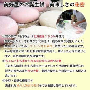 4種のあん餅 一升餅 一生餅 小分け あんこ ...の詳細画像5