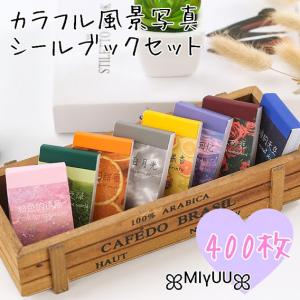 海外 シールブック フレークシール セット カラフル