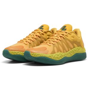 mizoguchisports_313454-01